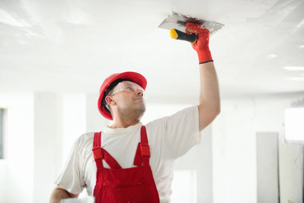 Best Water-Damaged Drywall Repair  in Norristown, PA